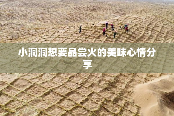 小洞洞想要品尝火的美味心情分享
