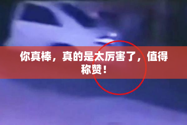 你真棒，真的是太厉害了，值得称赞！