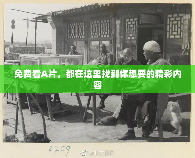 免费看A片，都在这里找到你想要的精彩内容
