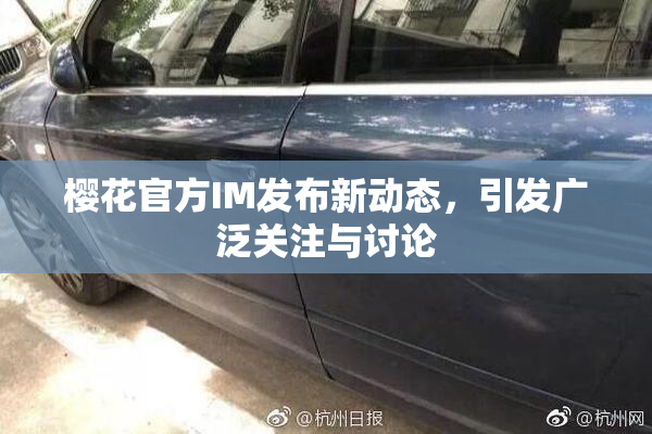 樱花官方IM发布新动态，引发广泛关注与讨论