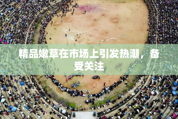 精品嫩草在市场上引发热潮，备受关注