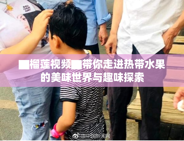 ▇榴莲视频▇带你走进热带水果的美味世界与趣味探索