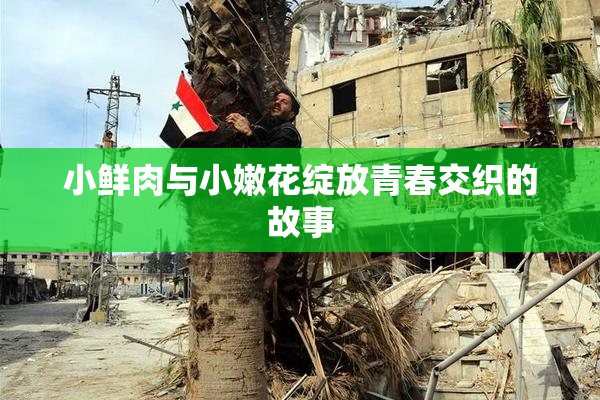 小鲜肉与小嫩花绽放青春交织的故事