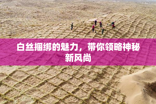 白丝捆绑的魅力，带你领略神秘新风尚