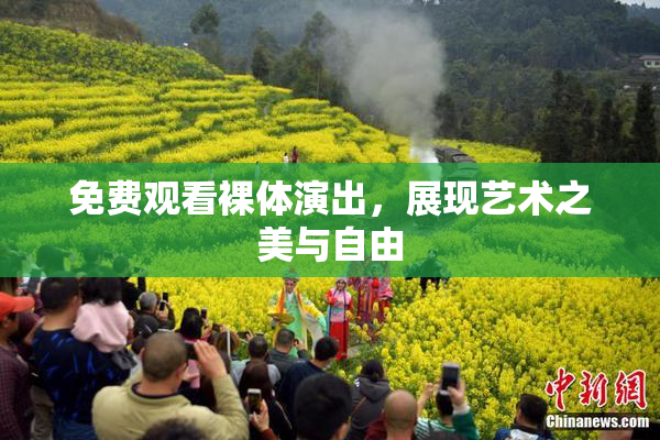 免费观看裸体演出，展现艺术之美与自由