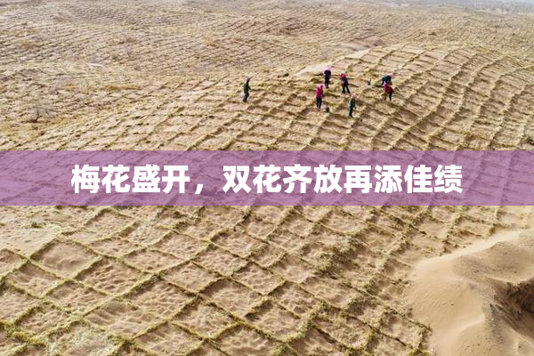 梅花盛开，双花齐放再添佳绩