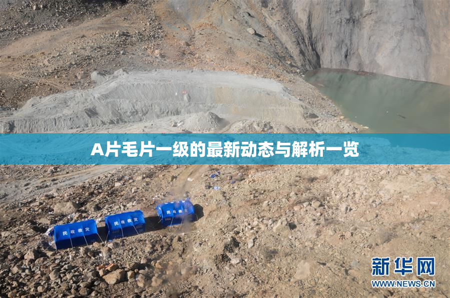 A片毛片一级的最新动态与解析一览