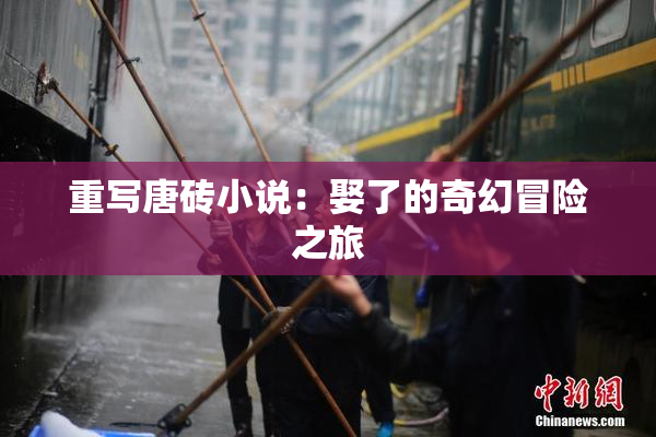 重写唐砖小说：娶了的奇幻冒险之旅