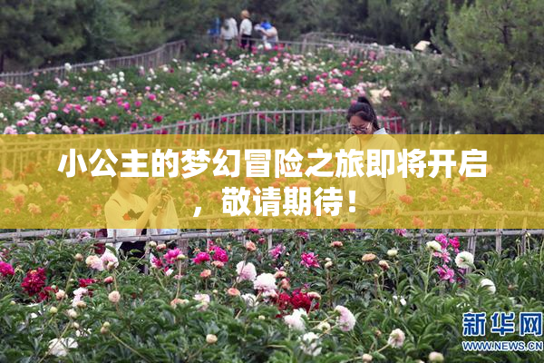 小公主的梦幻冒险之旅即将开启，敬请期待！