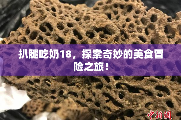 扒腿吃奶18，探索奇妙的美食冒险之旅！