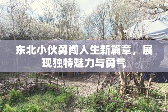 东北小伙勇闯人生新篇章，展现独特魅力与勇气
