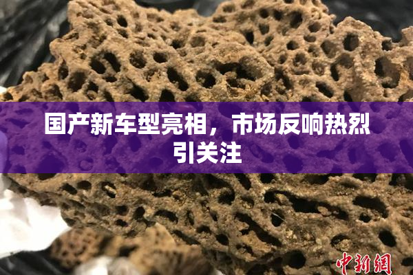 国产新车型亮相，市场反响热烈引关注