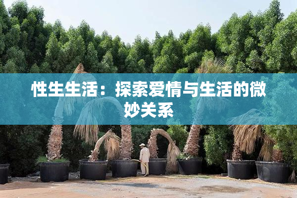 性生生活：探索爱情与生活的微妙关系