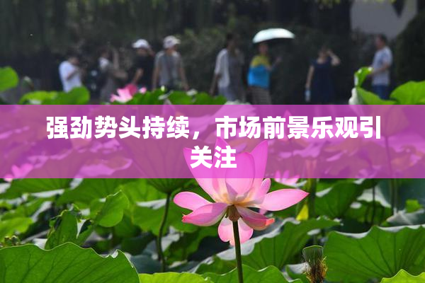 强劲势头持续，市场前景乐观引关注