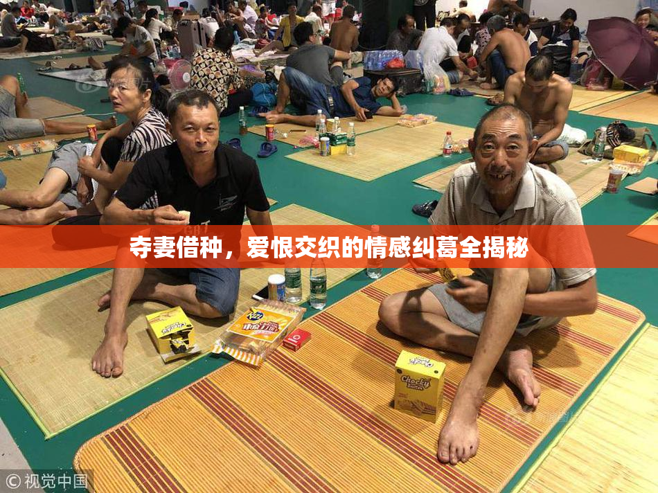 夺妻借种，爱恨交织的情感纠葛全揭秘