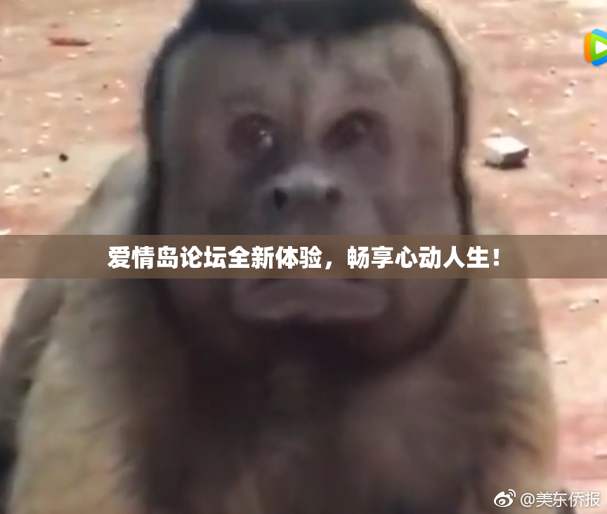 爱情岛论坛全新体验，畅享心动人生！