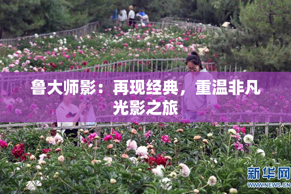鲁大师影：再现经典，重温非凡光影之旅