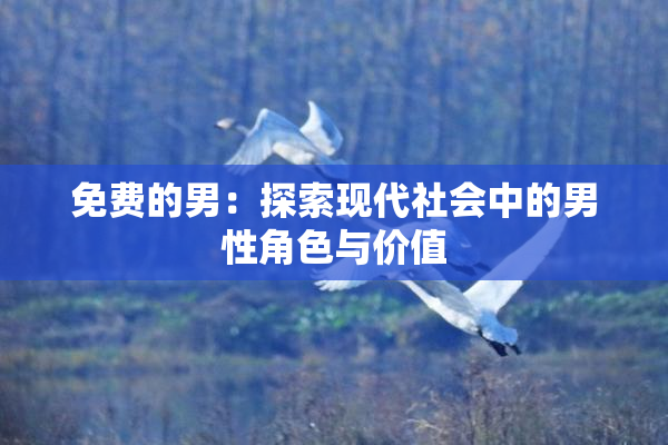 免费的男：探索现代社会中的男性角色与价值