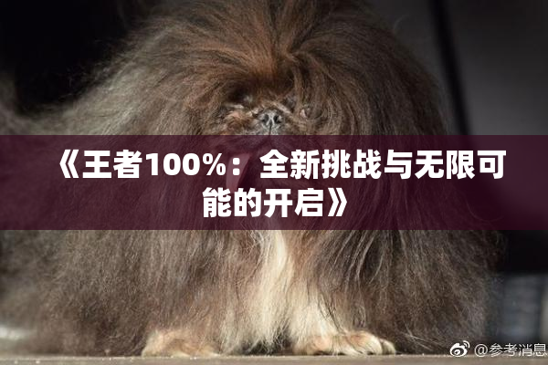 《王者100%：全新挑战与无限可能的开启》