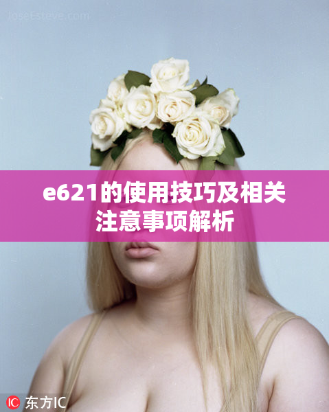 e621的使用技巧及相关注意事项解析