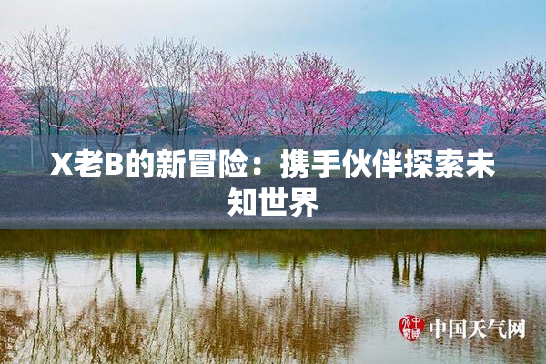 X老B的新冒险：携手伙伴探索未知世界