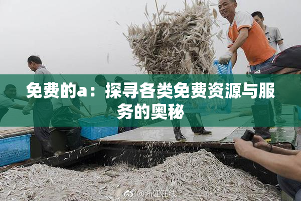 免费的a：探寻各类免费资源与服务的奥秘