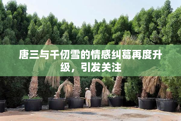 唐三与千仞雪的情感纠葛再度升级，引发关注
