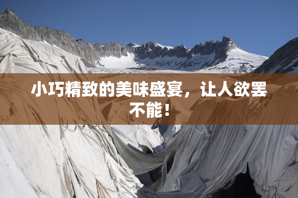 小巧精致的美味盛宴，让人欲罢不能！