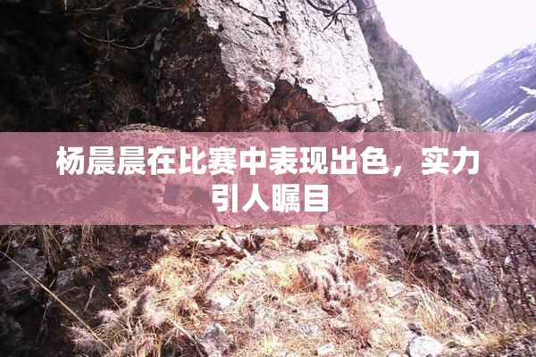 杨晨晨在比赛中表现出色，实力引人瞩目