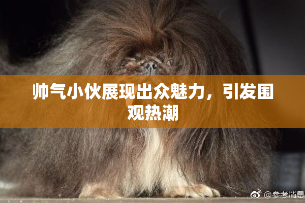 帅气小伙展现出众魅力，引发围观热潮