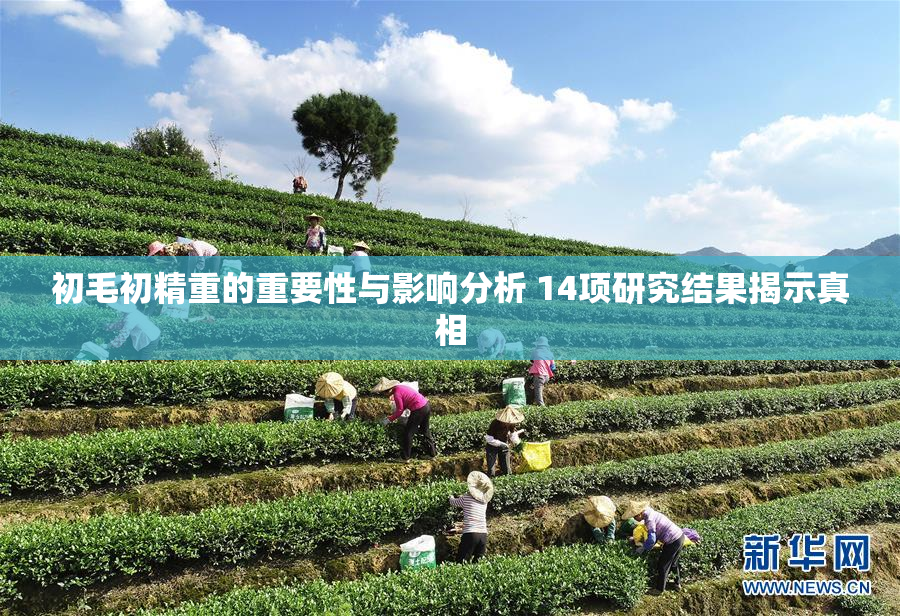 初毛初精重的重要性与影响分析 14项研究结果揭示真相