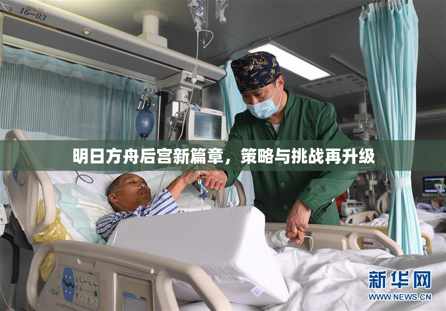 明日方舟后宫新篇章，策略与挑战再升级