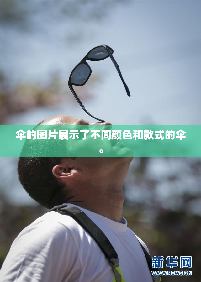 伞的图片展示了不同颜色和款式的伞。