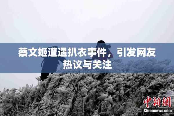 蔡文姬遭遇扒衣事件，引发网友热议与关注