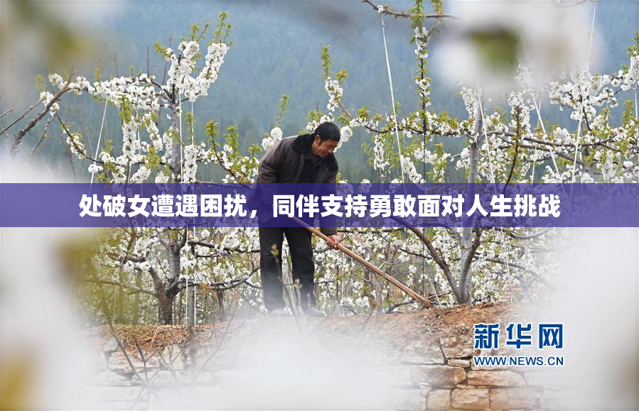 处破女遭遇困扰，同伴支持勇敢面对人生挑战