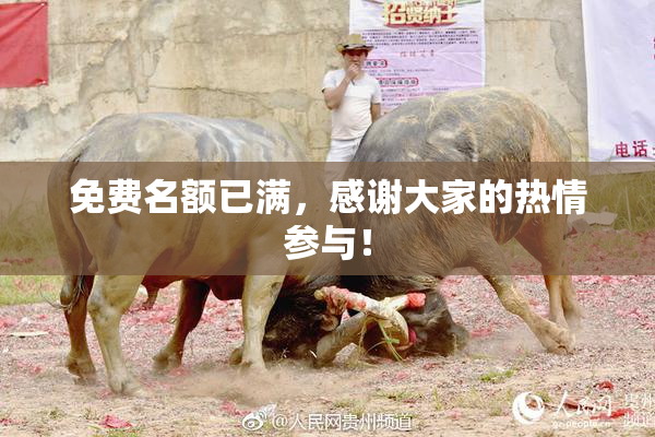 免费名额已满，感谢大家的热情参与！