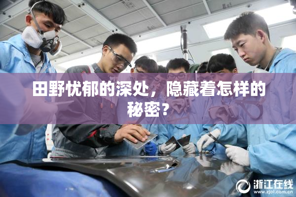 田野忧郁的深处，隐藏着怎样的秘密？