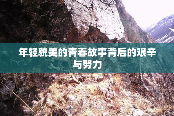 年轻貌美的青春故事背后的艰辛与努力