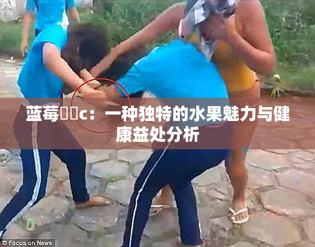 蓝莓❌‌c：一种独特的水果魅力与健康益处分析