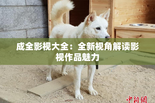 成全影视大全：全新视角解读影视作品魅力