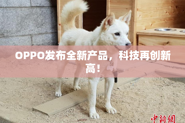OPPO发布全新产品，科技再创新高！