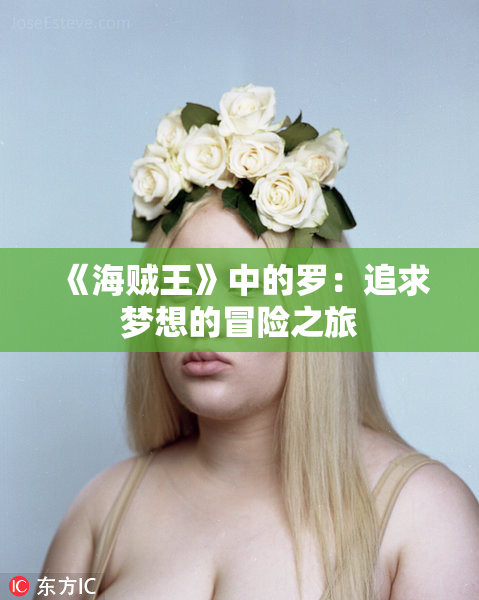 《海贼王》中的罗：追求梦想的冒险之旅