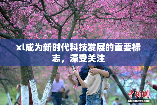 xl成为新时代科技发展的重要标志，深受关注