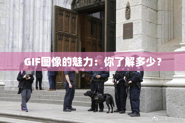 GIF图像的魅力：你了解多少？