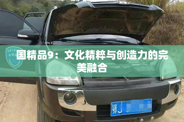 国精品9：文化精粹与创造力的完美融合