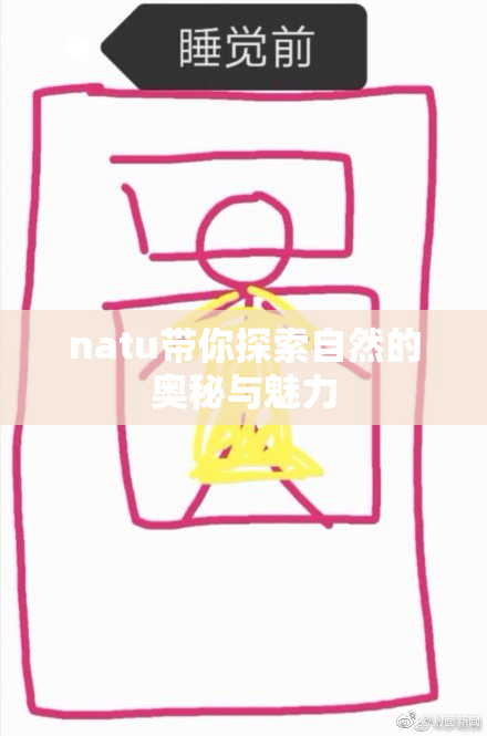 natu带你探索自然的奥秘与魅力