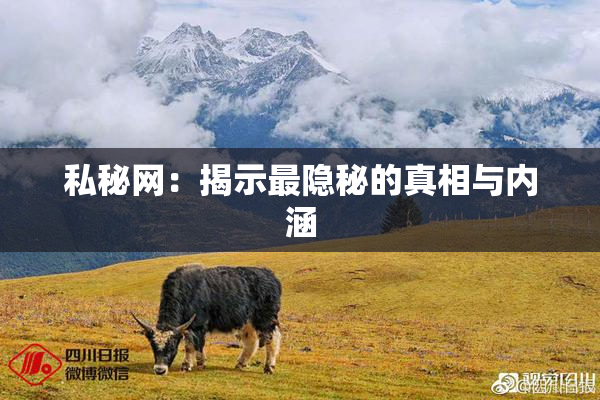 私秘网：揭示最隐秘的真相与内涵