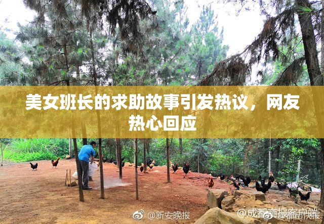 美女班长的求助故事引发热议，网友热心回应