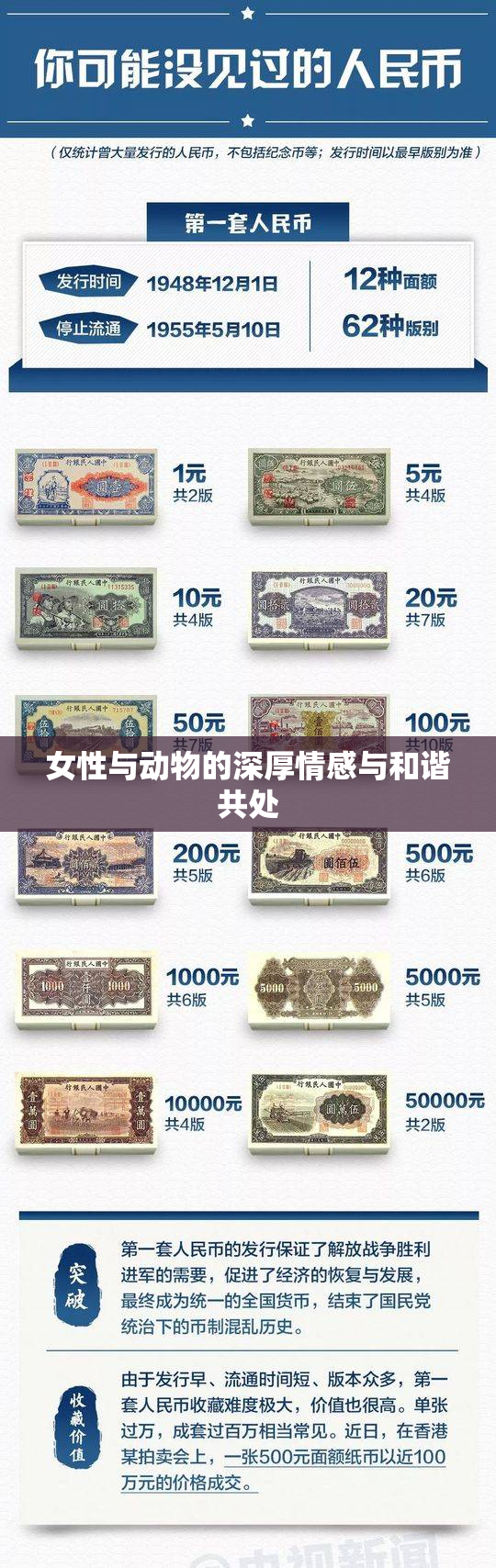 女性与动物的深厚情感与和谐共处