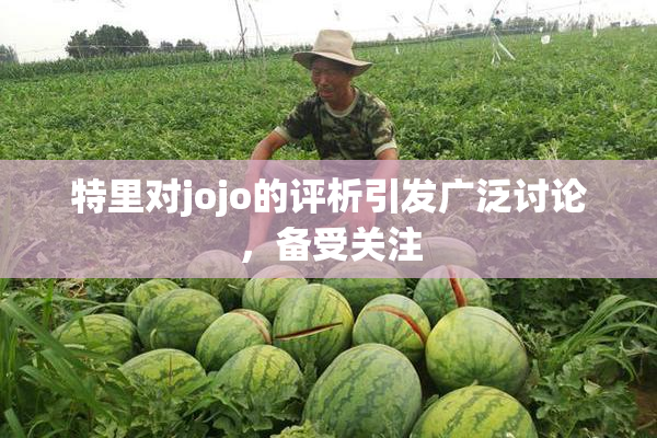 特里对jojo的评析引发广泛讨论，备受关注
